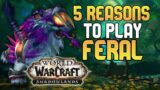 5 Reasons To Play Feral Druid In World Of Warcraft Shadowlands!