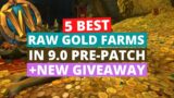 5 best raw gold farms in pre-patch | Wow Shadowlands 9.0 gold farming guide