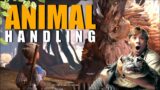 Baldur's Gate 3 Animal Handling Skill