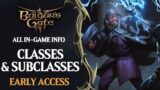 Baldur's Gate 3 Classes Guide: All Classes & Subclasses of BG3 Early Access