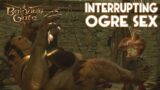 Baldur's Gate 3 – Interrupting Ogre Sex (All Companion Reactions)