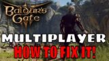 Baldur's Gate 3 – Multiplayer Issues