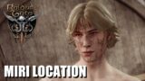 Baldur’s Gate 3 – MIRI – Where to Find Miri Location – Part of Rescue the Trapped Man Quest
