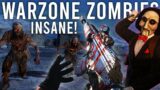 Call of Duty Warzone Zombies are INSANE!