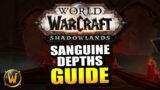 Chill Guide to the Sanguine Depths (Mythic 0) // World of Warcraft: Shadowlands