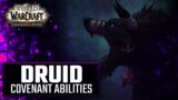 Covenant Druid Abilities | World of Warcraft Shadowlands Guardian/Feral/Balance/Restoration