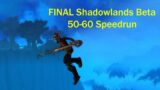FINAL Shadowlands Beta 50-60 Speedrun