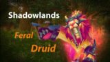 Feral Druid bgs – Shadowlands prepatch – Warsong Gultch – World of Warcraft
