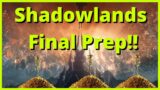 Final Prep for Shadowlands Launch!! | Gold Prep | Optimize Your Launch Day!!
