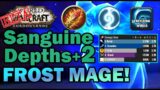 Frost Mage Shadowlands Night Fae Dungeon Beta Testing – Sanguine Depths +2 (World of Warcraft)
