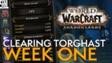 Full Clear Torghast In The First Week Of Shadowlands! – Guides And Tips