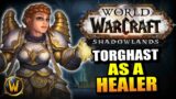 How Hard is Torghast as a HEALER?? // World of Warcraft: Shadowlands