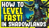 How To Level FAST 50 – 60 In Shadowlands WoW – World Of Warcraft