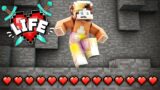 I Got 14 Hearts And Broke The Server… – Minecraft X Life SMP (46)