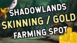 INSANE SKINNING SPOT | 60k+ GOLD PER HOUR | Shadowlands Gold Farming Guide