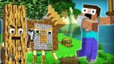 MINECRAFT is not LUCKY for me | ANDREOBEE