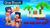 My ISLAND In Minecraft Raft ONE BLOCK!