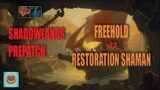 SHADOWLANDS PREPATCH – Mythic +23 FREEHOLD – Restoration Shaman