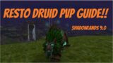 SHADOWLANDS RESTO DRUID GUIDE 9.0 FOR ARENA / PvP — Use the sections to skip to what you need :D