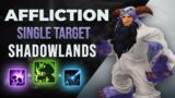 Shadowlands Affliction Single Target Build Guide