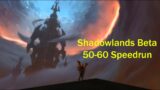 Shadowlands Beta 50-60 Speedrun