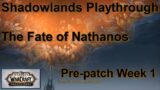 Shadowlands Pre-patch Week 1 Playthough | WoW Shadowlands Playthrough