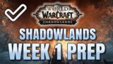 Shadowlands Prep and First Week Guide! Everything Explained!