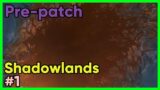 Soupalock, the Worgen Warlock, and SHADOWLANDS pre-patch! SL001 [WoW Shadowlands]