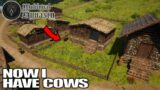 Spending my Life Savings on 1 Cow | Medieval Dynasty Gameplay | E47