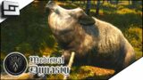 Surprise Attack By A Herd Of Boar In Medieval Dynasty! E4