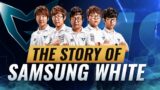 The ONLY Team Who PERFECTED League of Legends: The Story of Samsung White