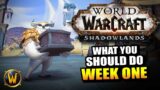 Your Top 7 Priorities during Shadowlands Week 1
