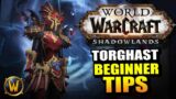 10 Beginner Tips for TORGHAST! // World of Warcraft: Shadowlands