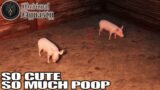 Baby Pigs are Awesome & Poop a TON! | Medieval Dynasty Gameplay | E17