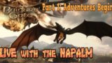 Baldur's Gate 3 Live Part 1 : with the NAPALM