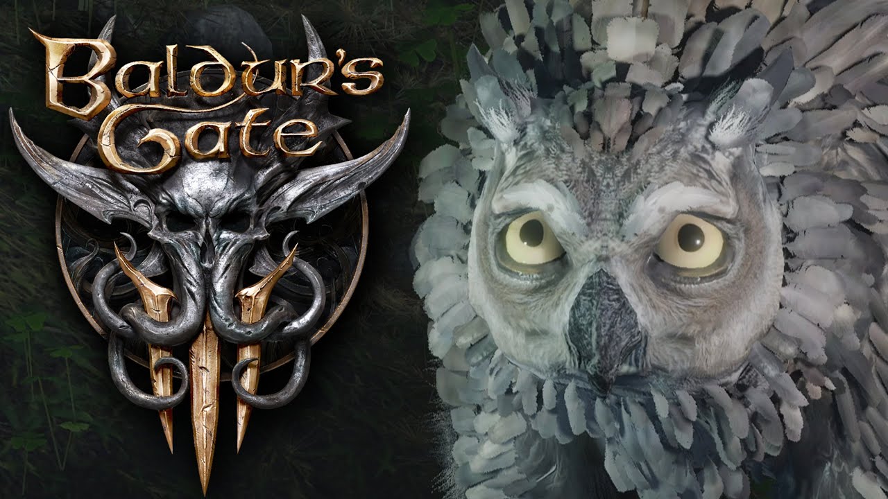 Как спасти медвесыча baldur s gate 3. Baldur's Gate 3 Owlbear. Балдурс гейт 3 Совиный медведь. Балдурус гейт 3 Сова МЕЛВЕЛЬ летёныш. Owlbear Rodeo tokens.