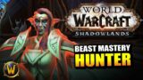 Beast Mastery Hunter on the Shadowlands Beta // World of Warcraft