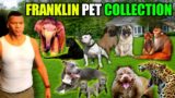 GTA 5 : Franklin PET Collection in GTA V (Cute Rare Real Life Pets)