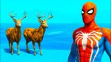 GTA 5 Water Ragdolls – SPIDERMAN vs DEERS GTA V Superhero Battle, Euphoria Physics,JumpFails