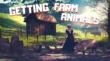 Getting Our First FARM ANIMALS – MEDIEVAL DYNASTY – Building, Crafting, Simulation Live Gameplay