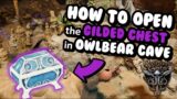 How to Open the GILDED CHEST in Owlbear Cave – Baldur's Gate 3 Guide