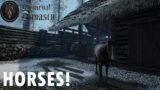 Medieval Dynasty – Horse Update