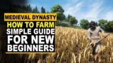 Medieval Dynasty – How to Farm and Grow Crop