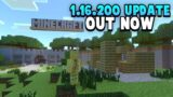 Minecraft 1.16.200 Is Out NOW! New Graphics Engine & More