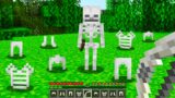 Minecraft BUT Skeletons Now Drop Their Armor…
