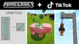Minecraft Tik Tok Compilation 40