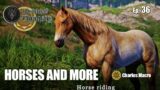NEXT MAJOR UPDATES | HORSES AND MORE | MEDIEVAL DYNASTY | Ep. 36