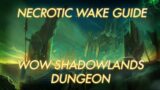Necrotic Wake Guide | WoW Shadowlands Dungeon