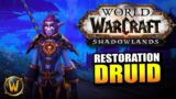 Restoration Druid on the Shadowlands Beta // World of Warcraft