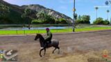 Ride Horse and Animals – GTA V FIVEM